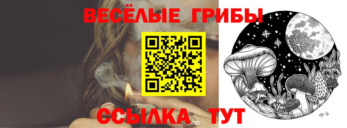 Галлюциногенные грибы Cubensis  Вход с VPN  Ипатово 